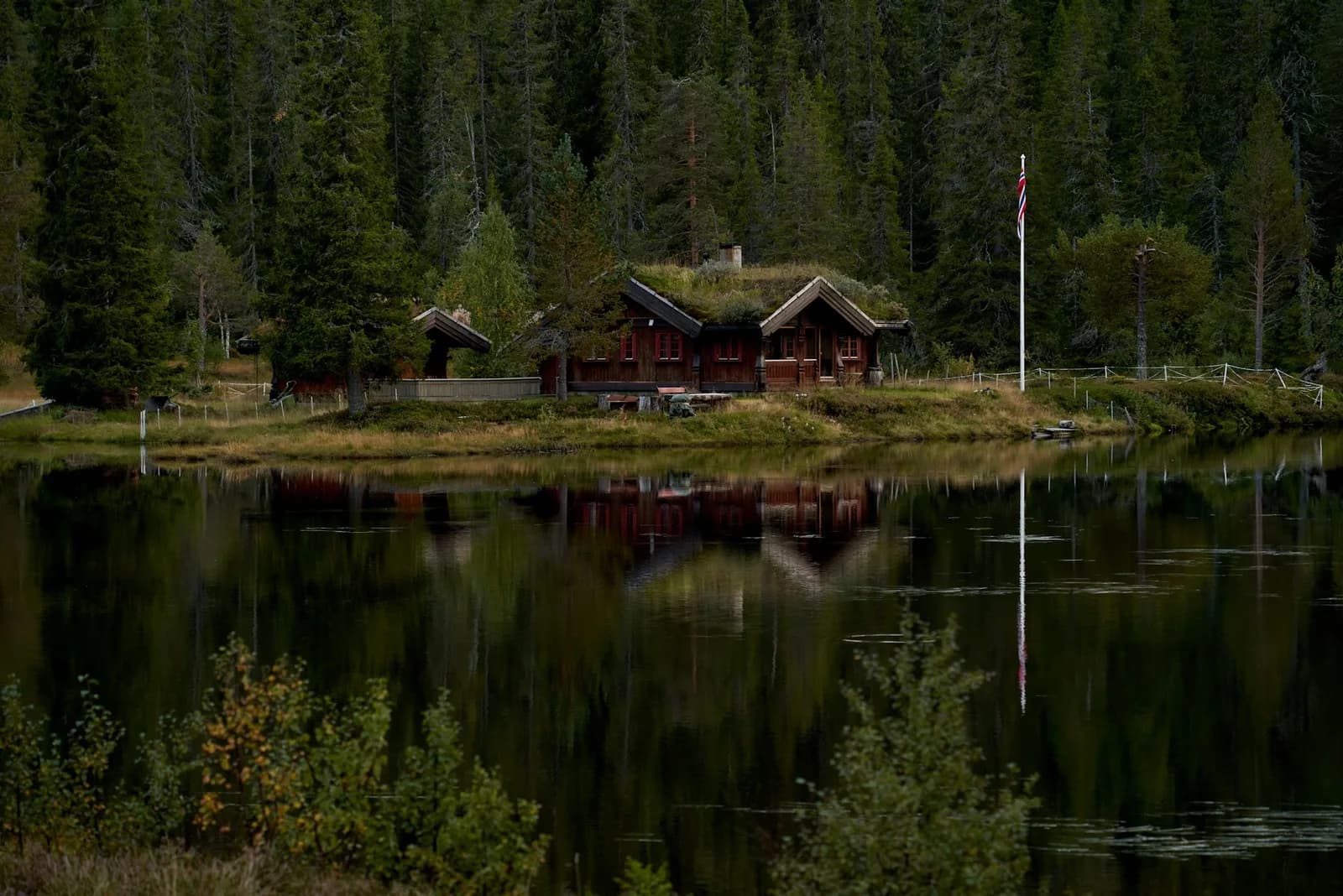 Skogens spegelbild i ett stilla vatten utanför en stuga